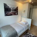 S&p Mountain View 2 Apartamento Wilderswil