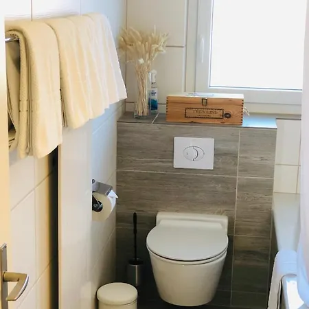 S&p Mountain View 2 Wilderswil